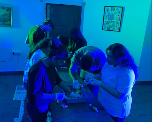 Mitra Youth Peer Group
